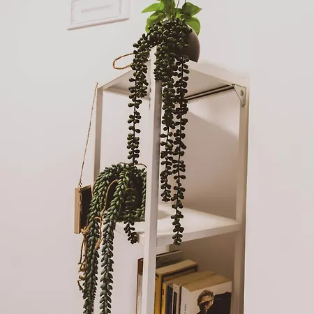 Casa Ameri オルビア