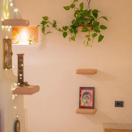 Casa Ameri 3* אולביה