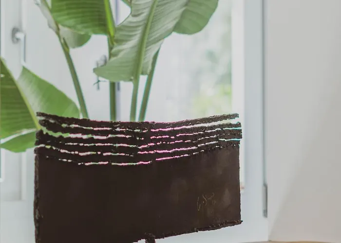 Casa Ameri Pensionat